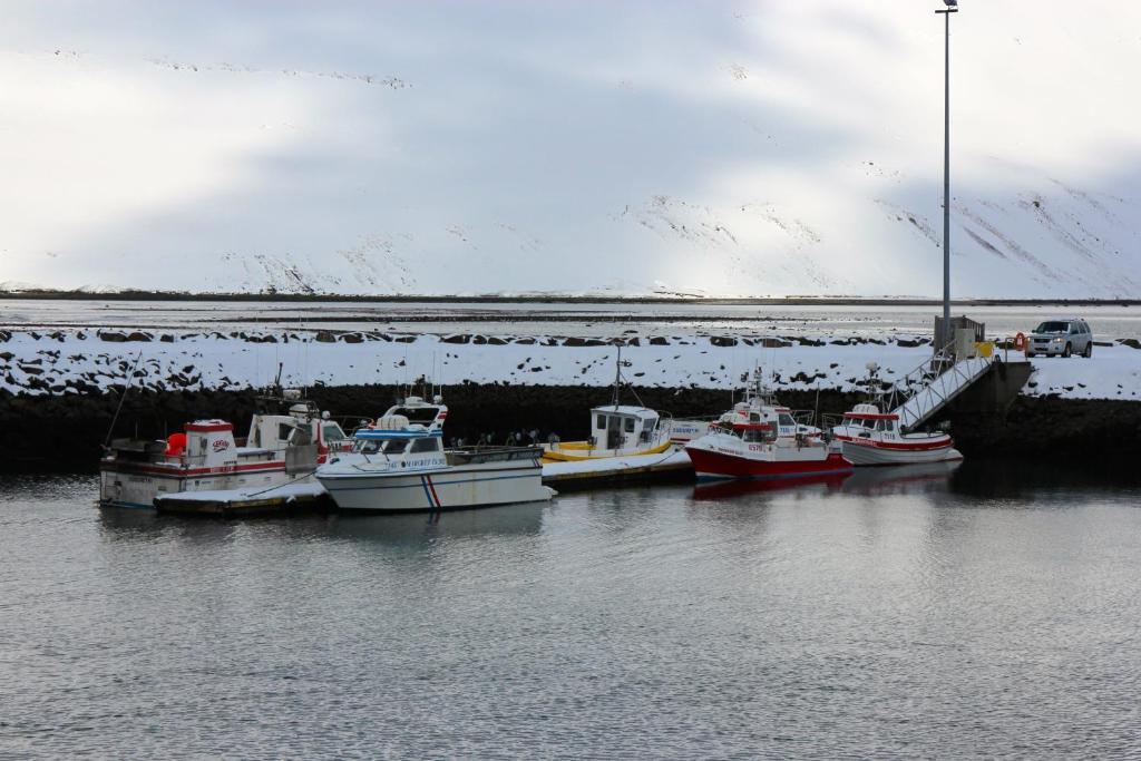 Comfy Guesthouse Westfjords Sudureyri Dış mekan fotoğraf